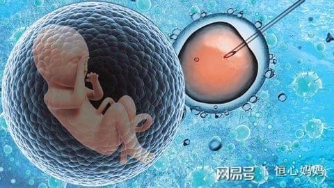 专业孕妈供卵助孕包生儿子